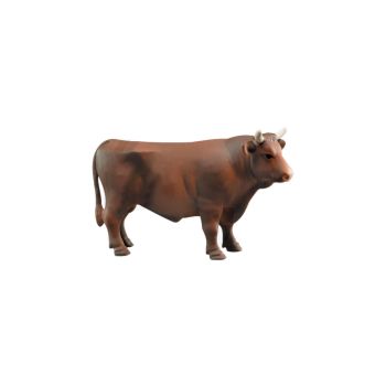 Taur Maro Bruder 02309